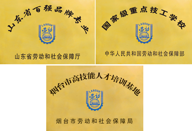 _缼WУsu